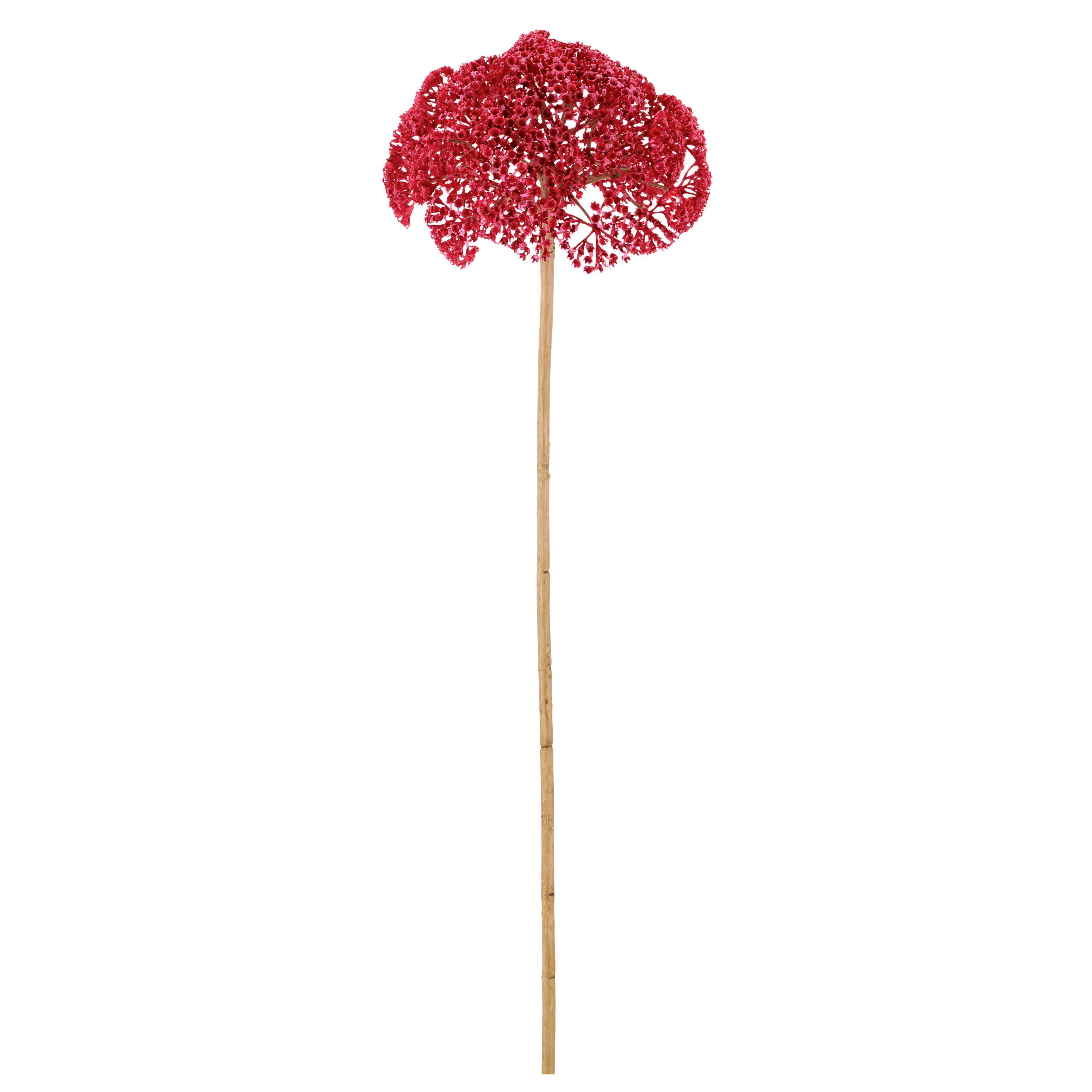 Umelý kvet ACHILLEA I -PAZ- - pink/krémová, Basics, kov/textil (70cm) - Mömax