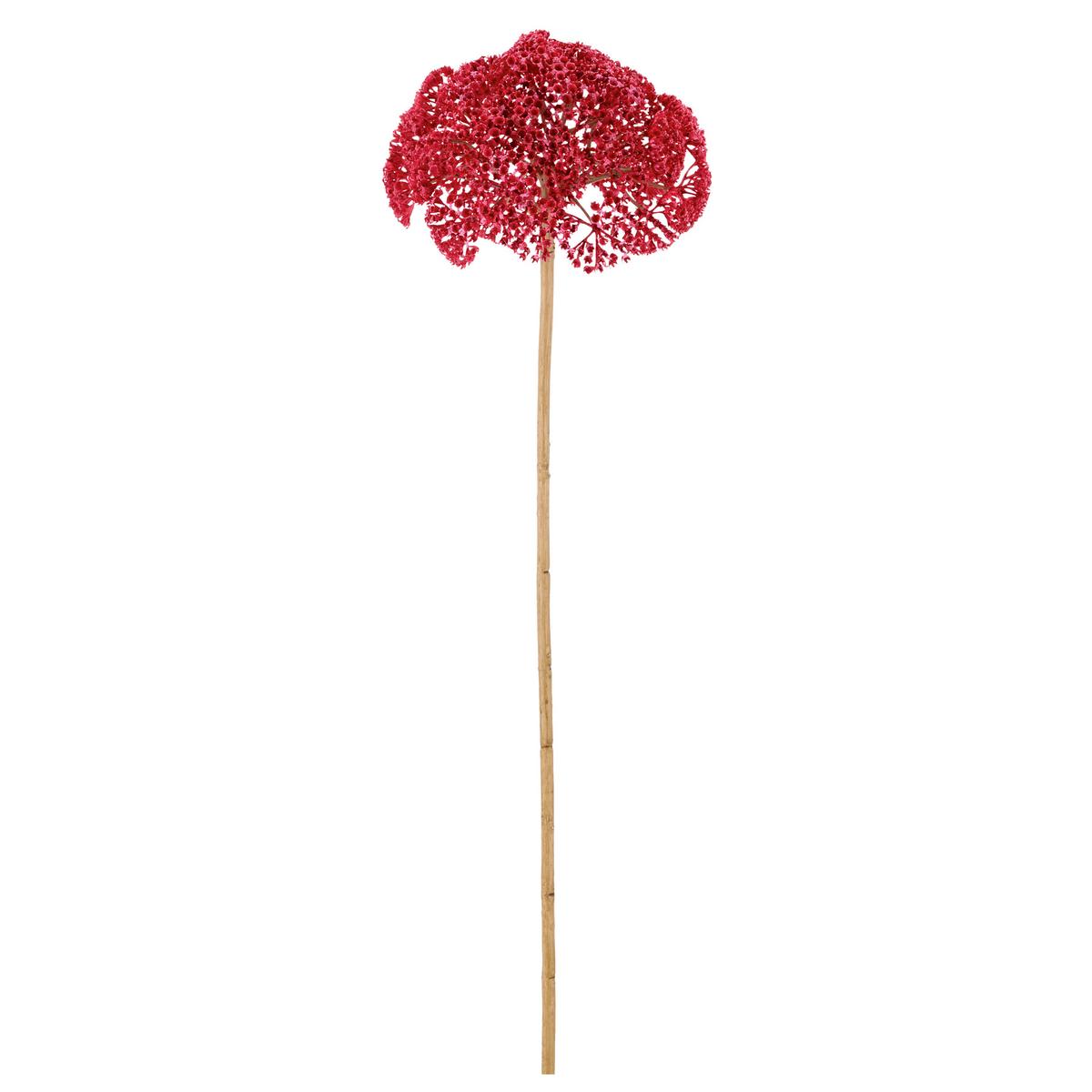 Umelý kvet ACHILLEA I -PAZ- - pink/krémová, Basics, kov/textil (70cm) - Mömax