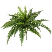 Kunstpflanze Bostonfarn Kunststoff, Grün, D: 60 cm - Grün, Basics, Kunststoff (60cm) - P & B