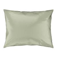 POTAH NA POLŠTÁŘ Alex Uni, 40/60cm, sv.zelená - světle zelená, Moderní, textil (40/60cm) - Premium Living