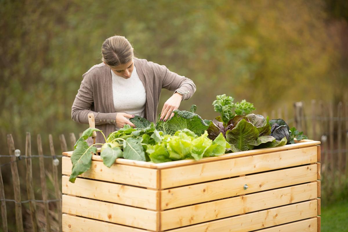 Hochbeet Echtholz Fichte 70x90x130 Cm  Fichtefarben - Fichtefarben, Basics, Holz (70/90/130cm)