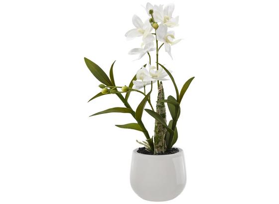 UMELÁ RASTLINA Japonská orchidea - biela/zelená, Basics, plast (40cm) UMELÁ RASTLINA Japonská orchidea - biela/zelená, Basics, plast (40cm)