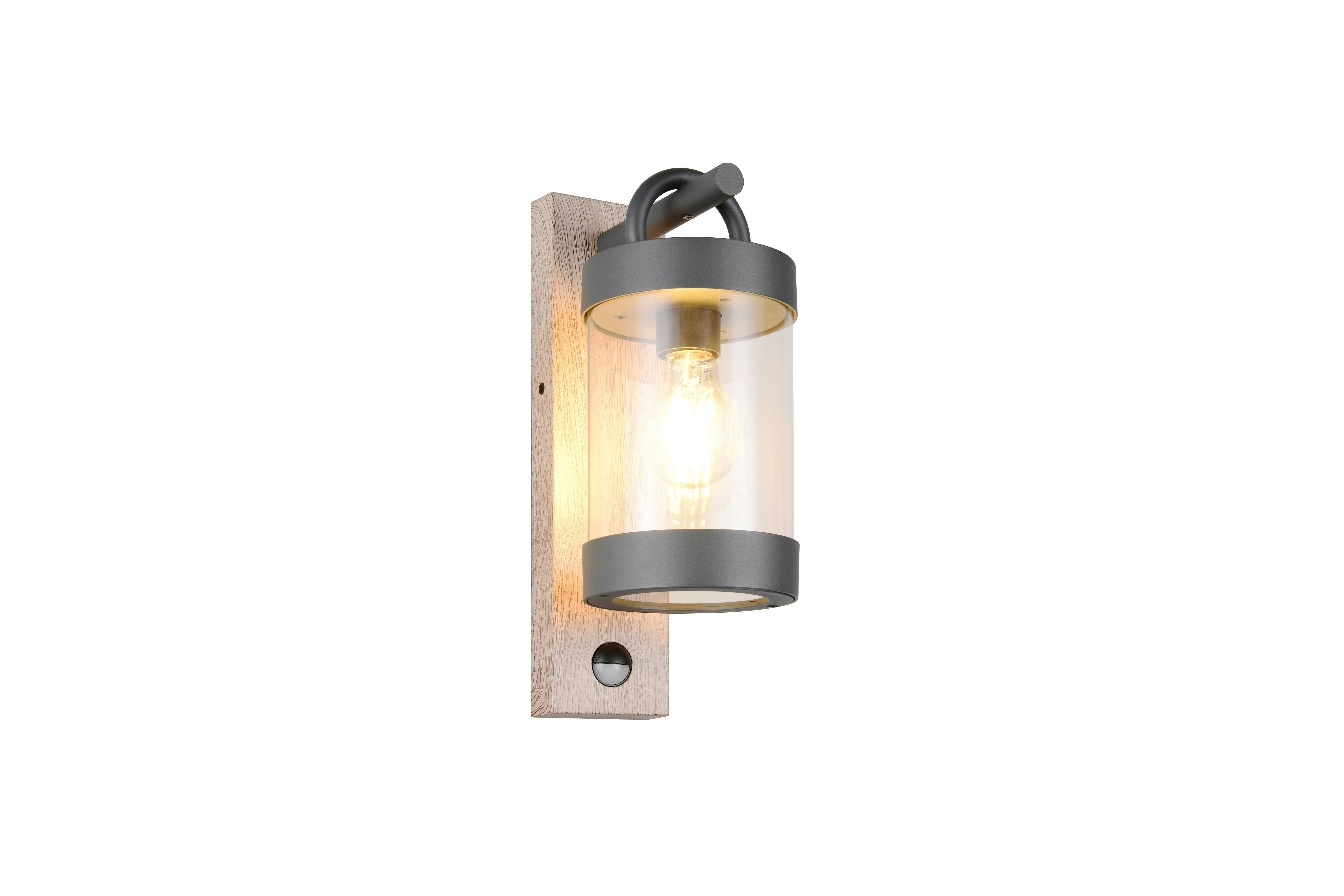 Außenwandleuchte 204169135 Sambesi - Transparent/Anthrazit, Basics, Kunststoff/Metall (12,5/33/18,6cm) - Trio Leuchten