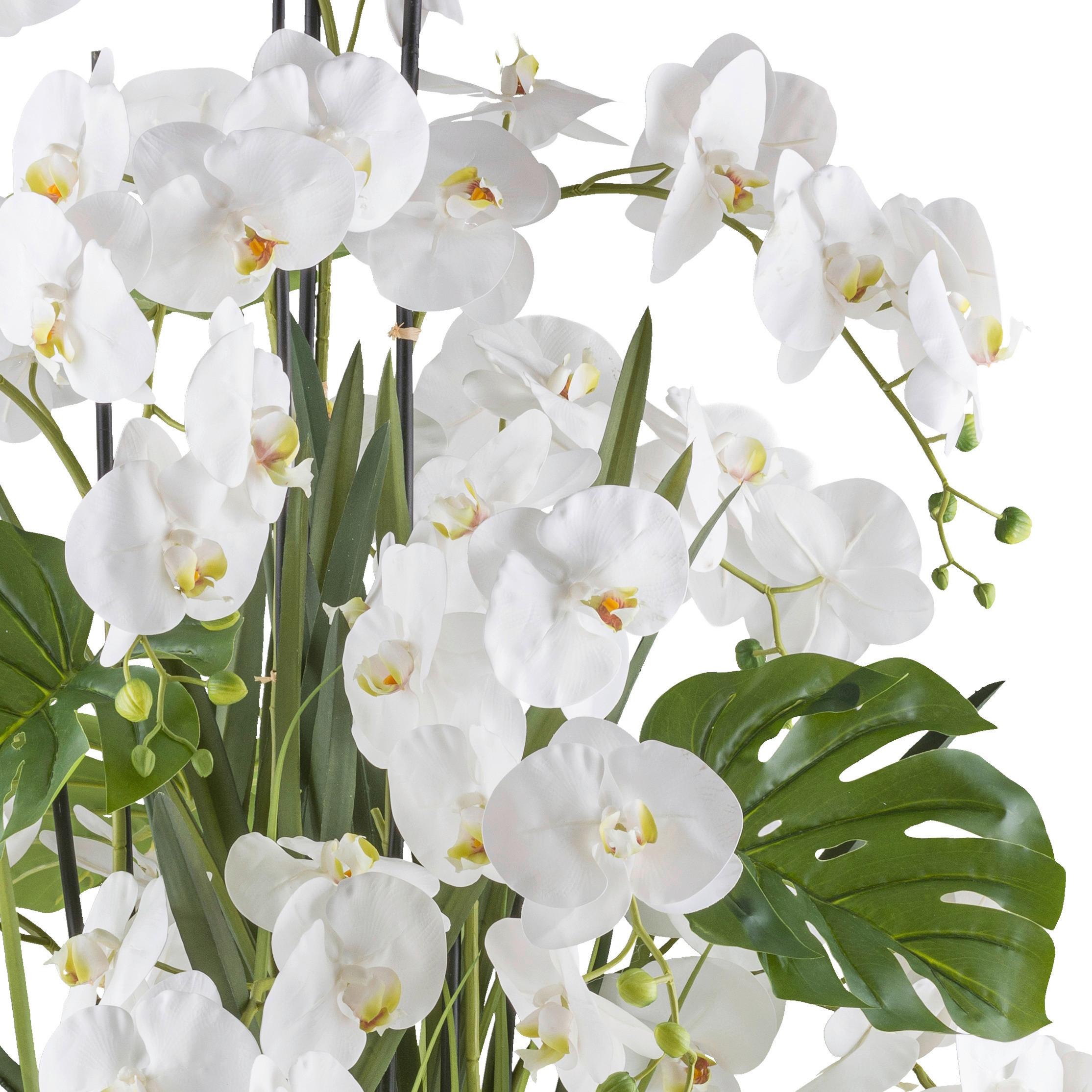 Kunstpflanze Orchideen Creme/grün/weiß, 140 Cm - Creme/Weiß, Design, Kunststoff (140cm) - P & B