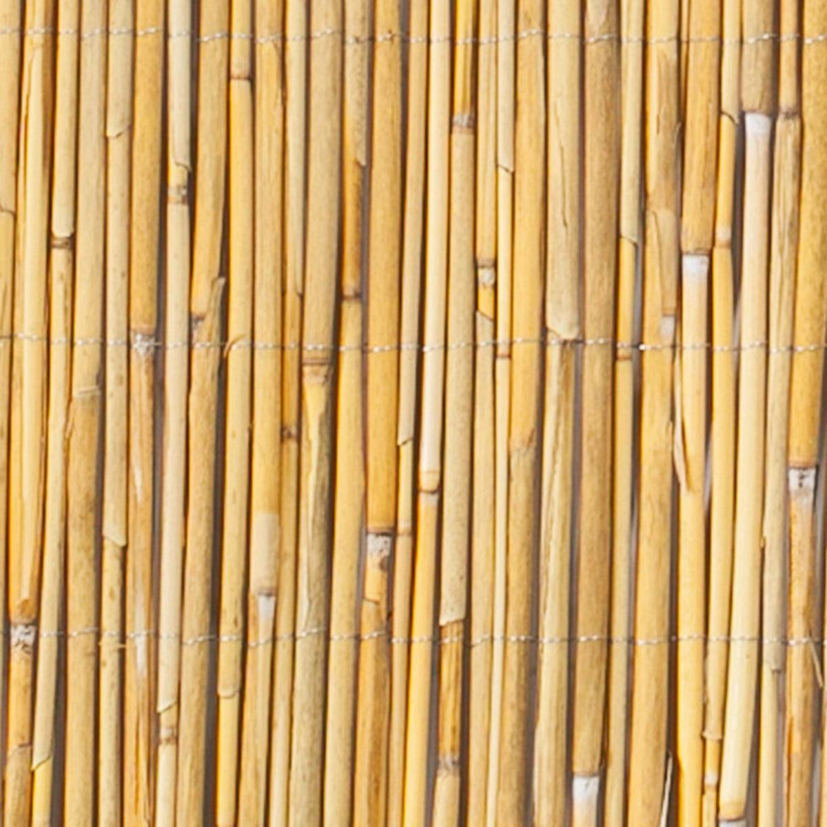 Sichtschutz Nantai Natur Schilf 600x120 cm - Naturfarben, Basics, Naturmaterialien (600/120cm)