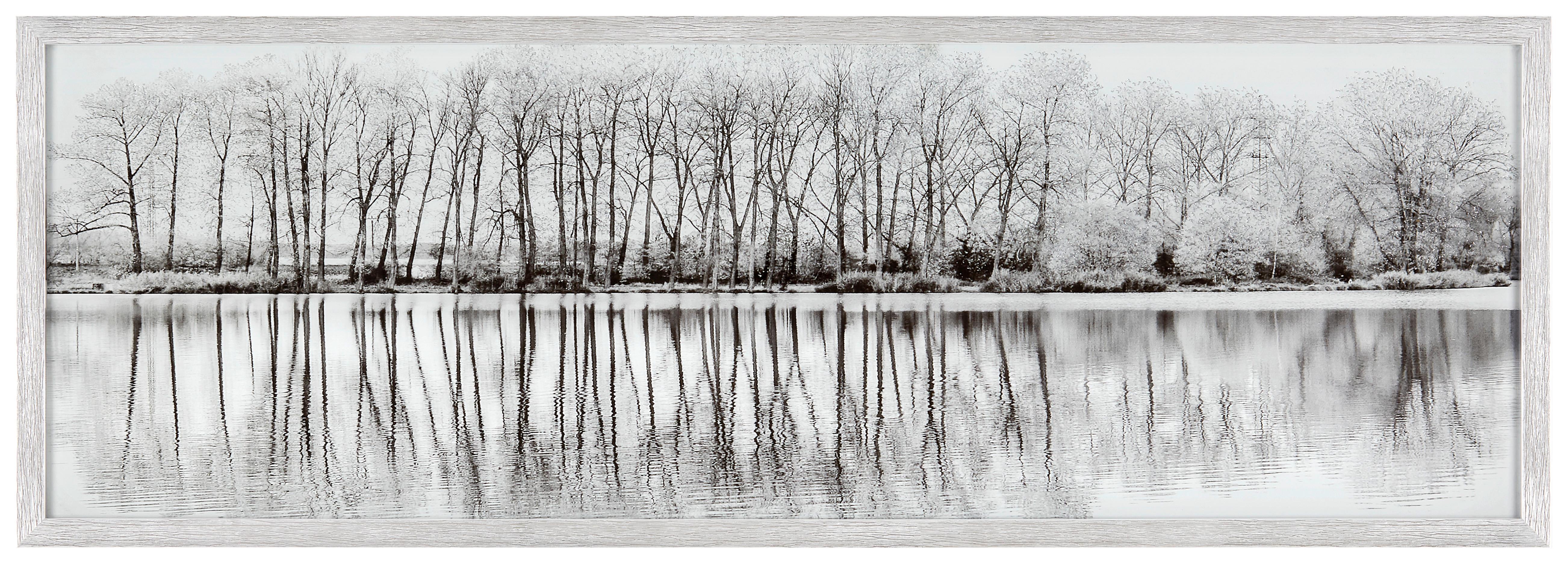 Glasbild Alena Bäume Schwarz/Weiß, 107x37 cm - Silberfarben/Schwarz, MODERN, Glas/Papier (107/37/3cm) - Luca Bessoni