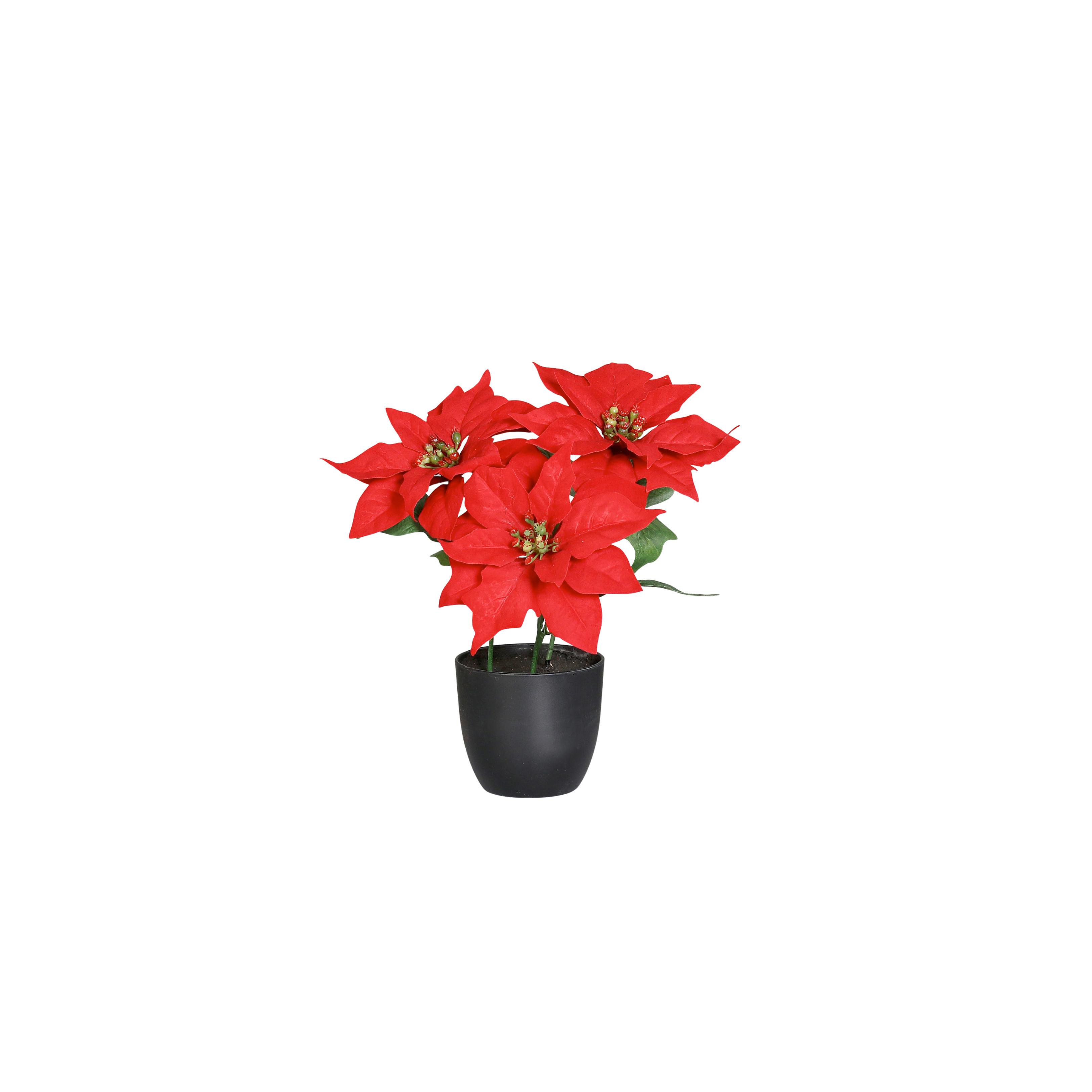 Kunstpflanze Poinsettia - Rot/Schwarz, Basics, Kunststoff/Textil (27cm)