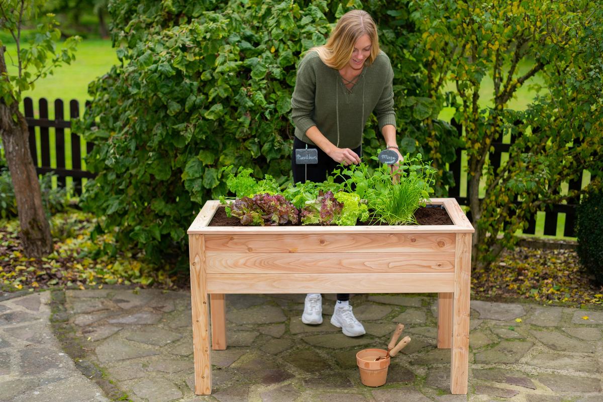 Hochbeet Echtholz Lärche 120x75x65 Cm Lärchefarben - Lärchefarben, Basics, Holz (120/75/65cm)