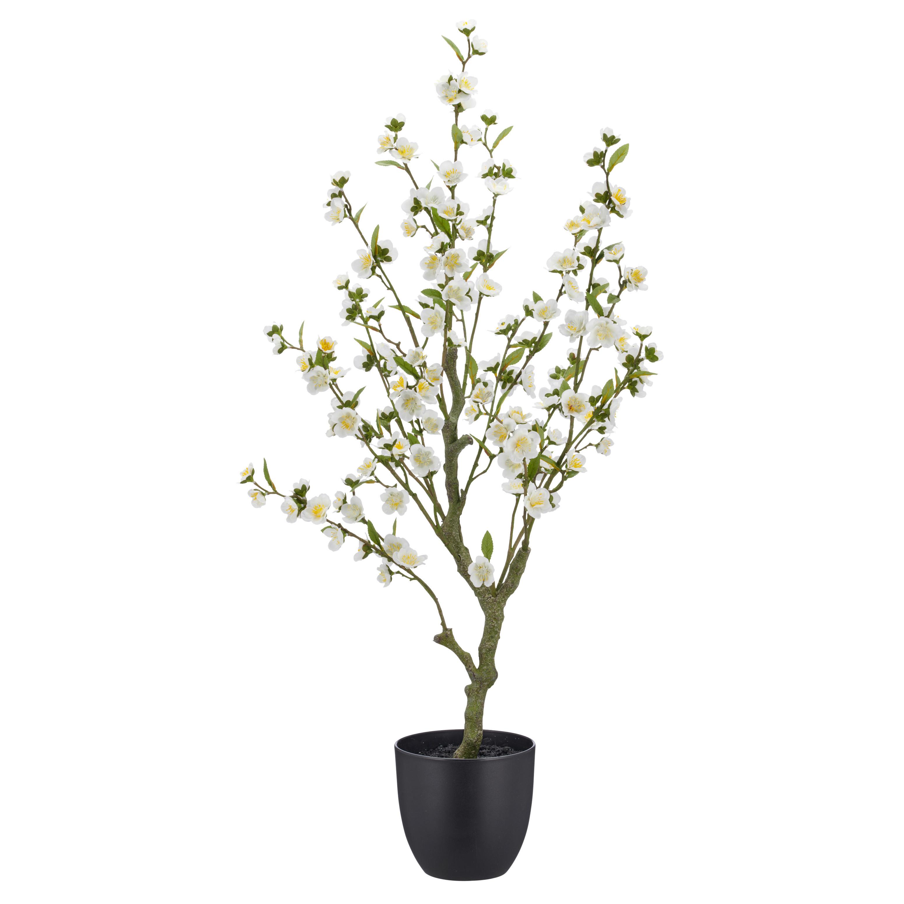 Vykvetlá větvička třešně Výška 105 cm - bílá/černá, Basics, kov/plast (105cm) - Mömax