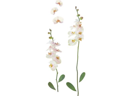 NÁLEPKA DEKORAČNÍ ORCHIDEa - vícebarevná, umělá hmota (50/70cm) NÁLEPKA DEKORAČNÍ ORCHIDEa - vícebarevná, umělá hmota (50/70cm)