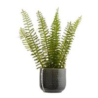 Obal na květináč Mood, Ø/V: 6,5/6,5cm - šedá, keramika (6,5/6,5cm) - Modern Living