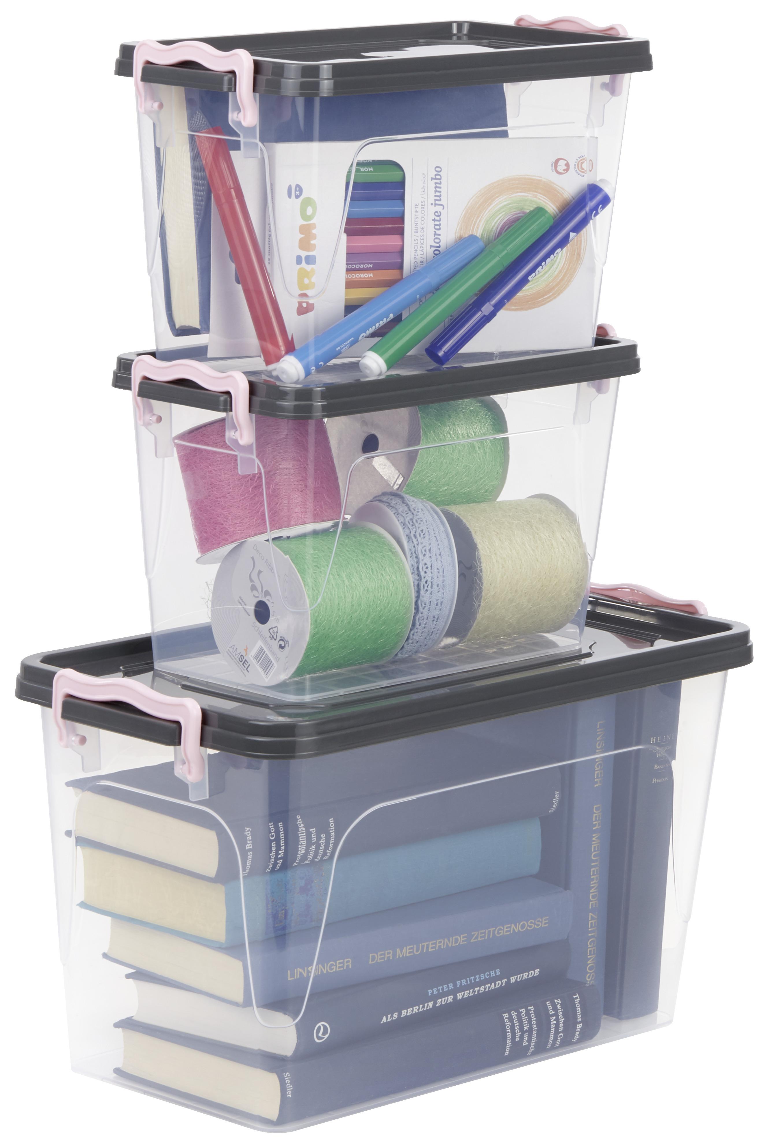 Aufbewahrungsbox Lia mit Deckel 3er-Set Stapelbar - Transparent/Rosa, Kunststoff - Homezone