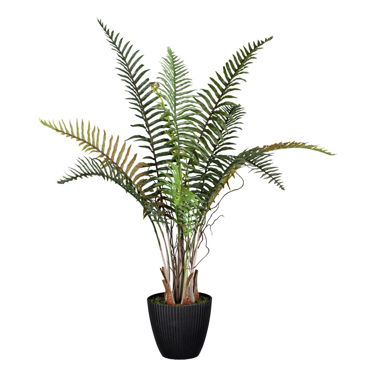 Kunstpflanze Grünpflanzen Grün, 53 cm - Schwarz/Grün, Design, Kunststoff (53cm) - P & B