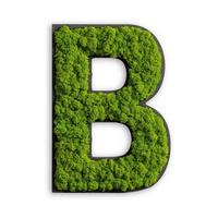 Moosbild Grün B: 25 Cm - Schwarz/Grün, Basics, Naturmaterialien/Holz (12-20/25/3,5cm)