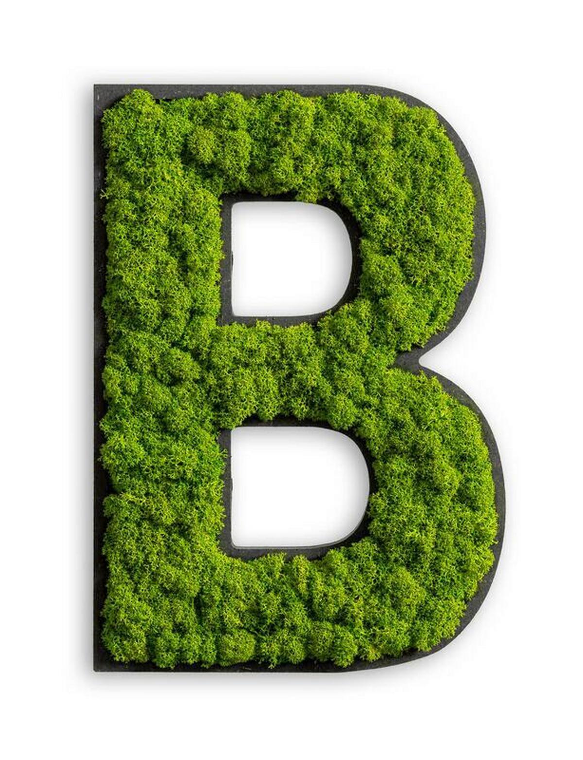Moosbild Grün B: 25 Cm - Schwarz/Grün, Basics, Naturmaterialien/Holz (12-20/25/3,5cm)