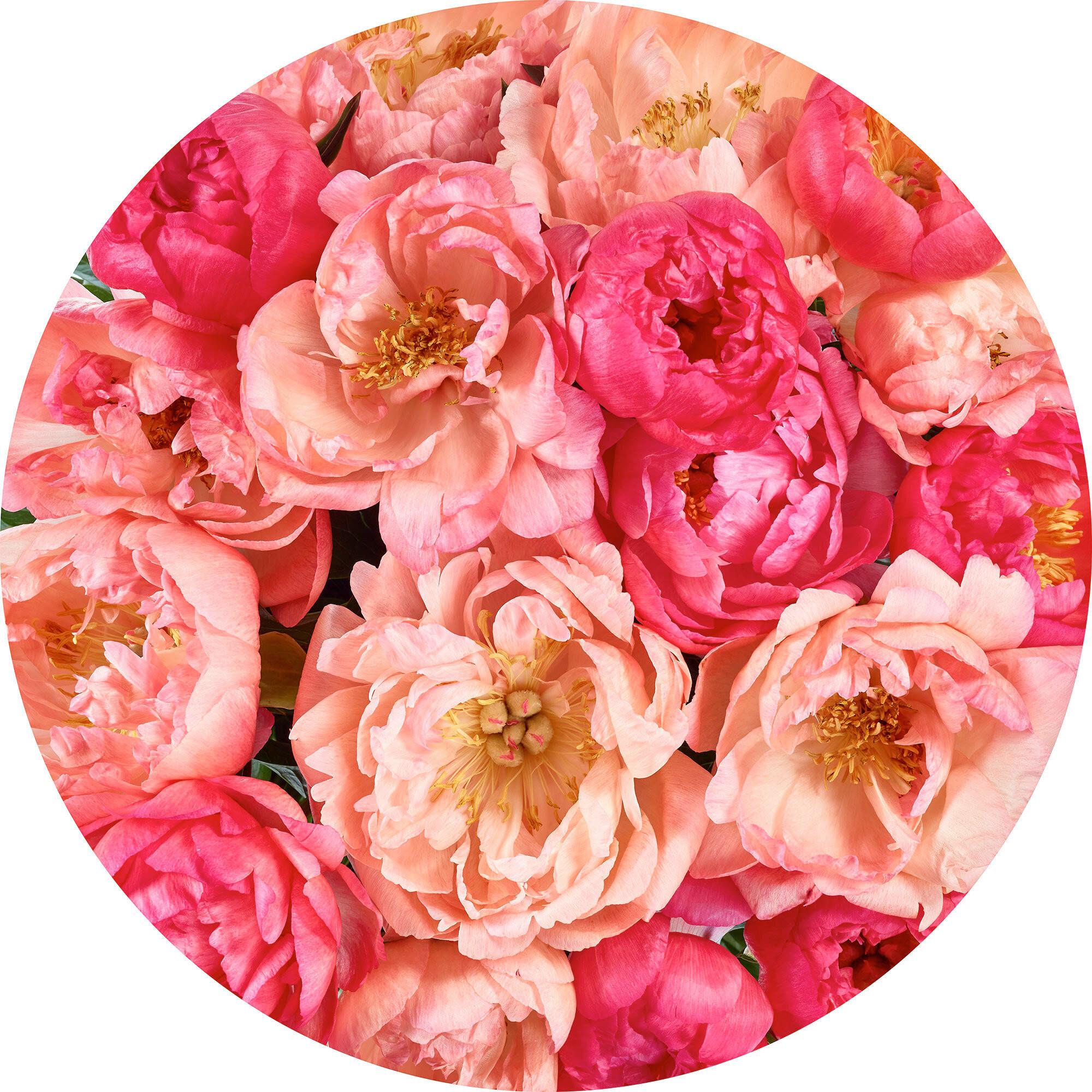 Fototapete 125 cm Blume 