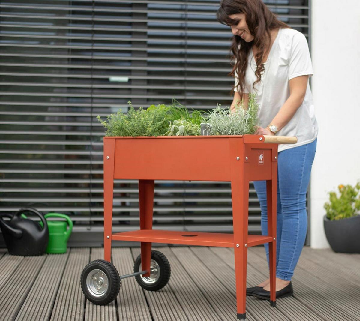 Hochbeet Stahl Kräuterfabrik mit Rollen 35x80x75 cm Rot - Rot, Basics, Metall (35/80/75cm)