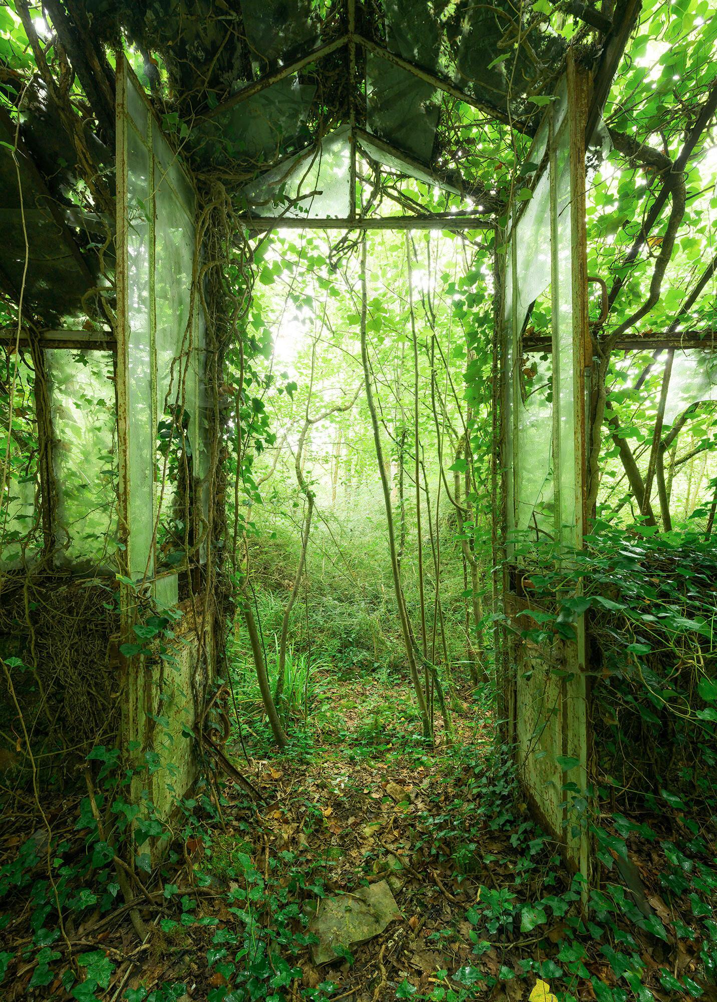 Fototapete Greenhouse - Grün, Trend, Papier (200/280cm)