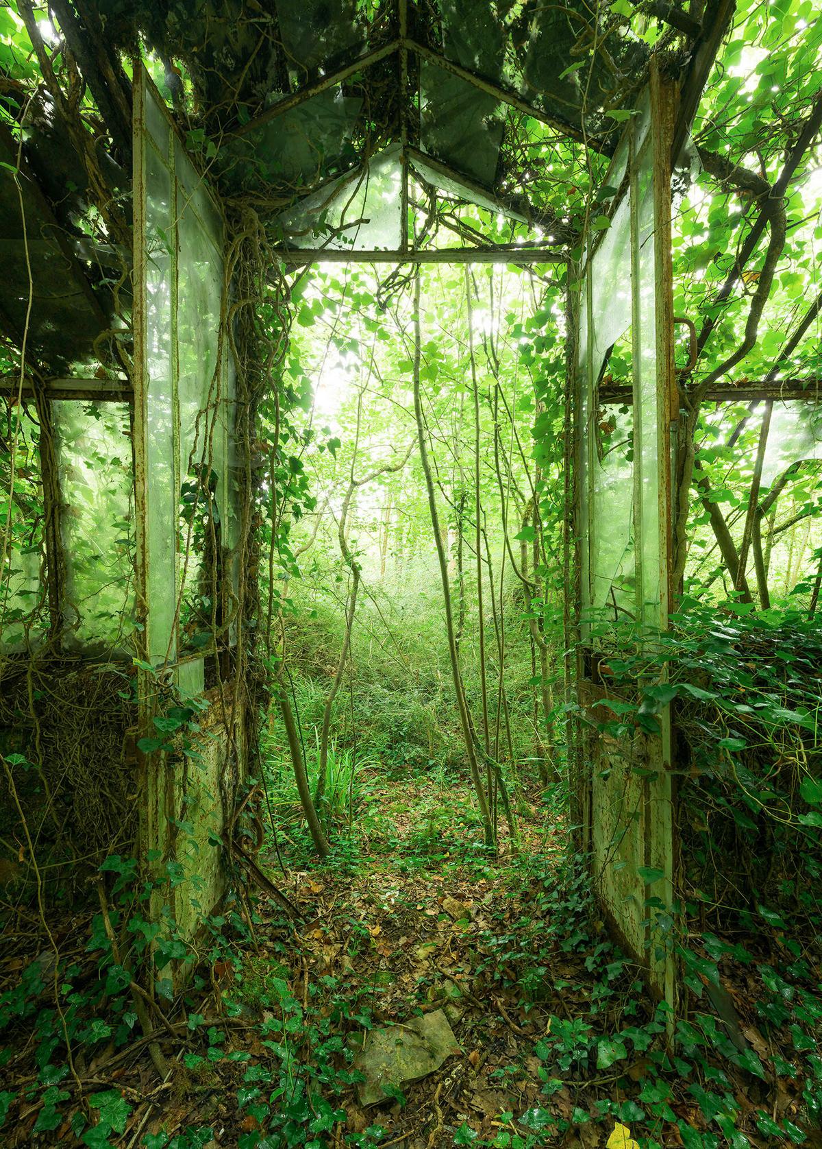 Fototapete Greenhouse - Grün, Trend, Papier (200/280cm)