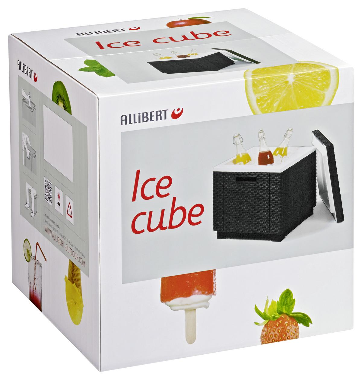 Kühlbox 40 Liter Ice Cube, Graphitfarben - Graphitfarben, MODERN, Kunststoff (42/41/42cm) - Keter