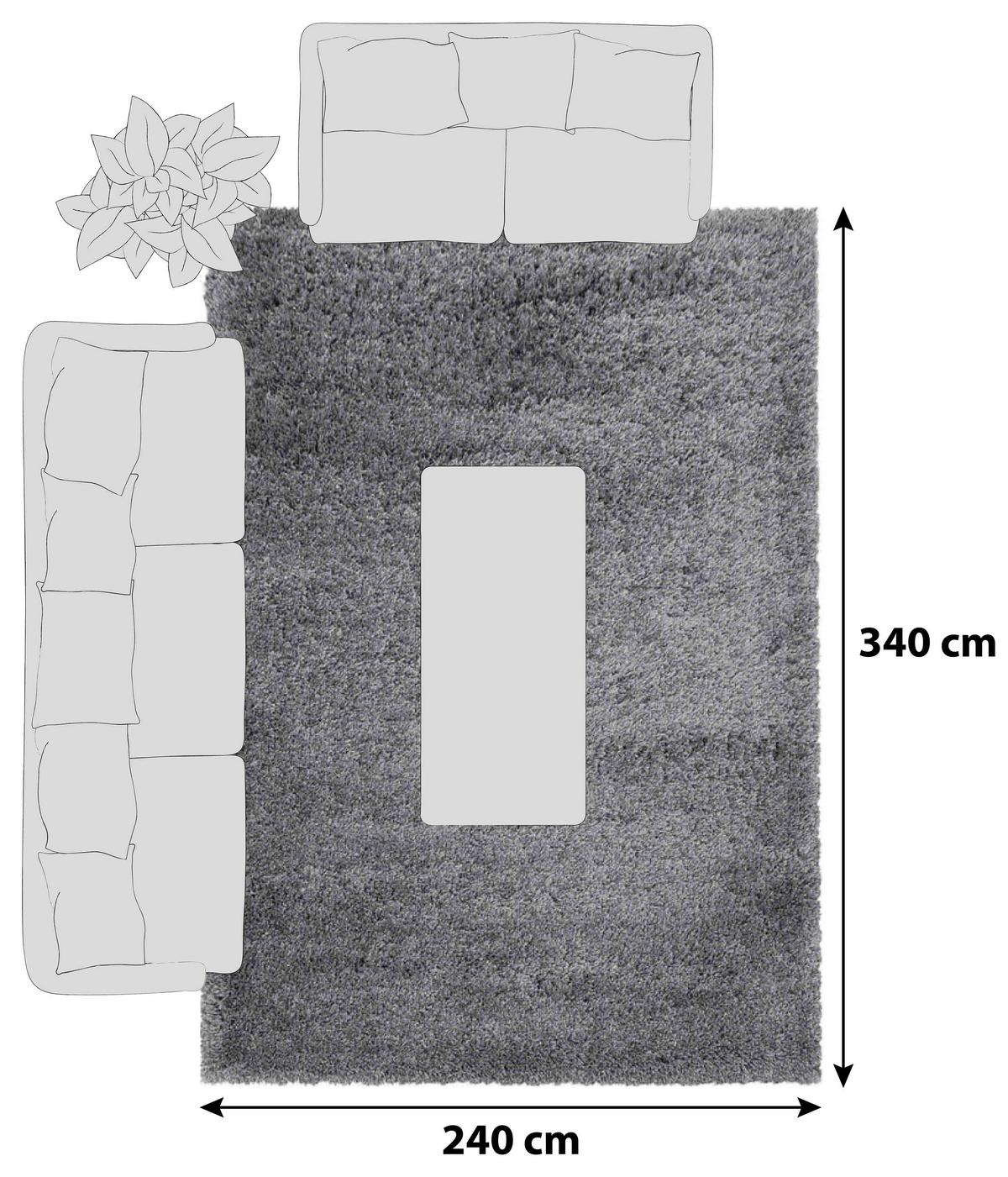Hochflor Teppich Hellgrau Fluffy 240x340 cm - Hellgrau, Basics, Textil (240/340cm)