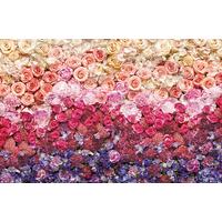 Vliestapete Intense - Multicolor, Basics (400/260cm) - Komar