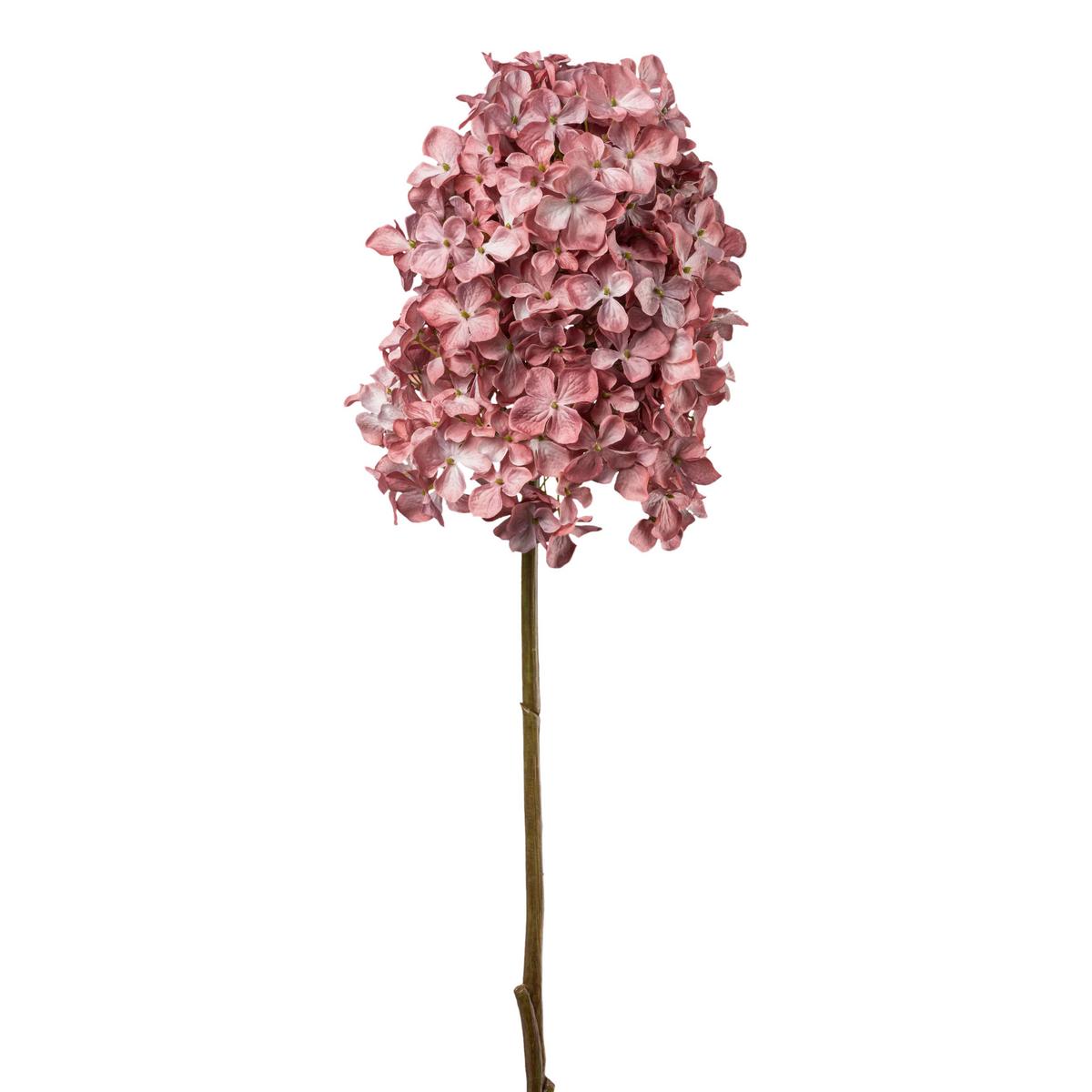 UMĚLÁ KVĚTINA HORTENSIE I -PAZ- - starorůžová/hnědá, Konvenční, plast (83cm) - Modern Living