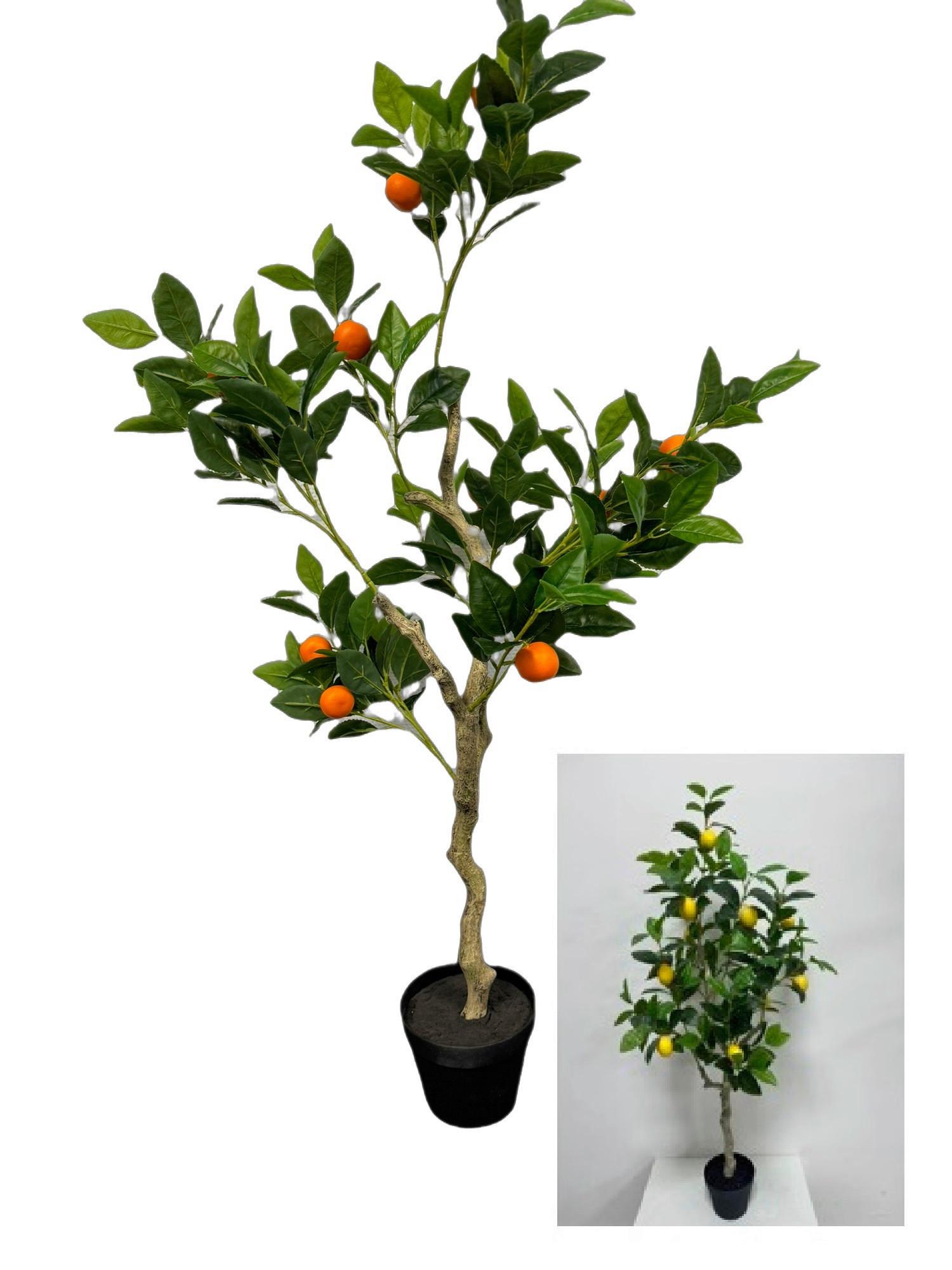 Zitronen/Orangenbäumchen Höhe ca. 40 cm, sortiert - Dunkelgrün, Basics, Kunststoff (40/120cm)