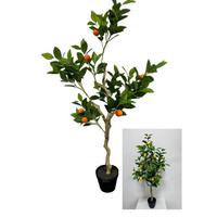 Zitronen/Orangenbäumchen Höhe ca. 40 cm, sortiert - Dunkelgrün, Basics, Kunststoff (40/120cm)