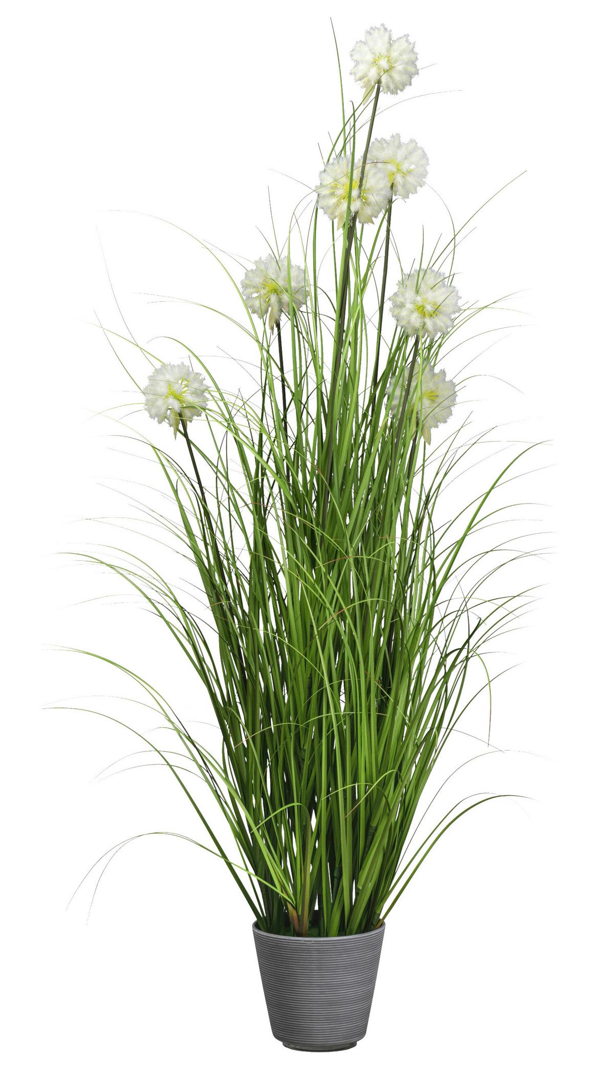 Umělá rostlina Palma, V: 150cm - šedá/zelená, Basics, plast (150cm) - Modern Living