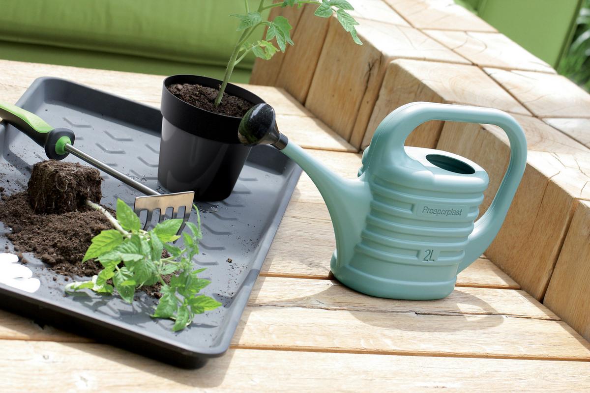 Locsolókanna Herbert - türkiz/antracit, Konventionell, műanyag (35,2/10,2/22,4cm) - Ondega