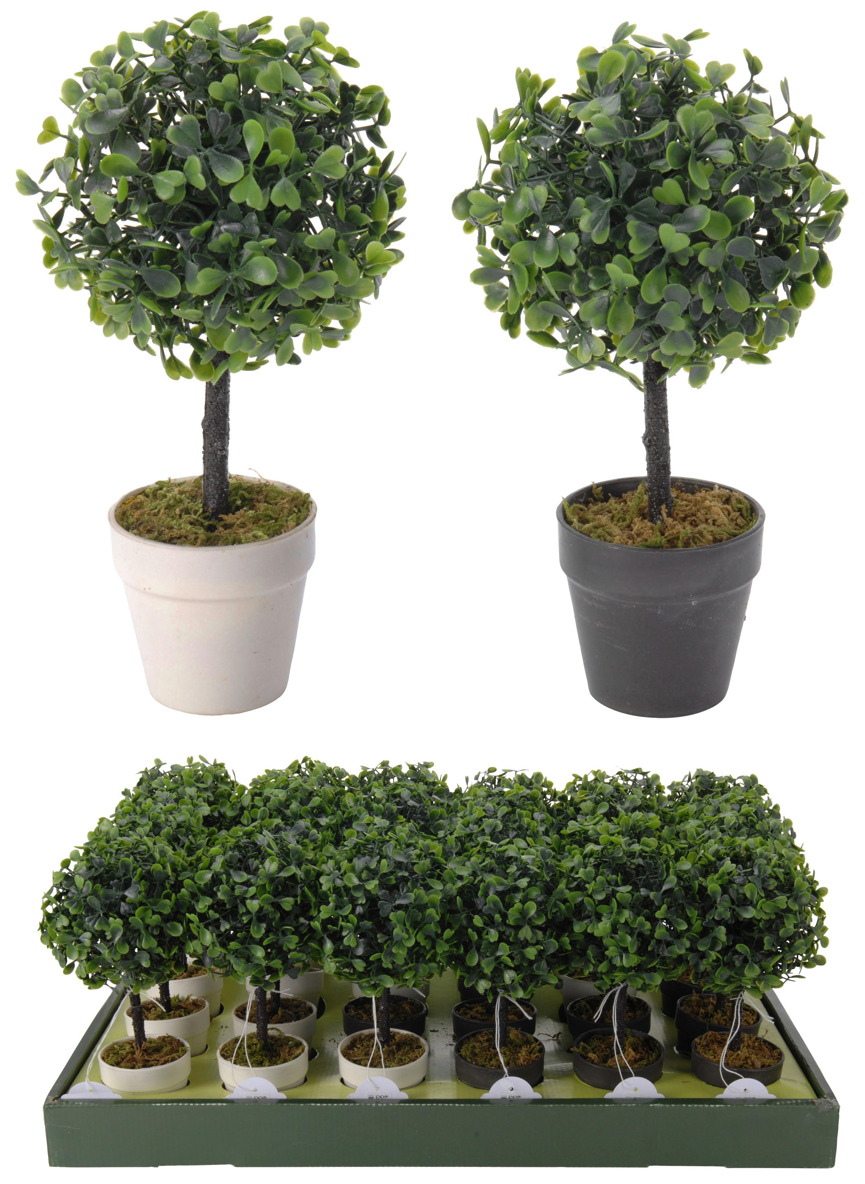 Umělá rostlina BUXUS - Konvenční (24/11/12cm)