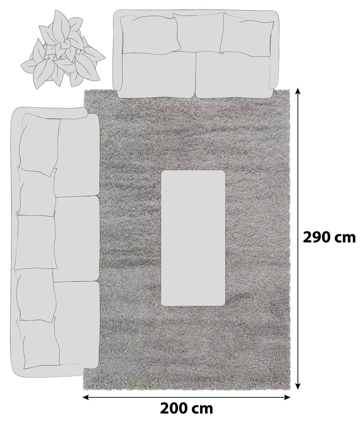 Hochflor Teppich Beige Naturfaser Beige 200x290 cm - Beige, Basics, Textil (200/290cm)