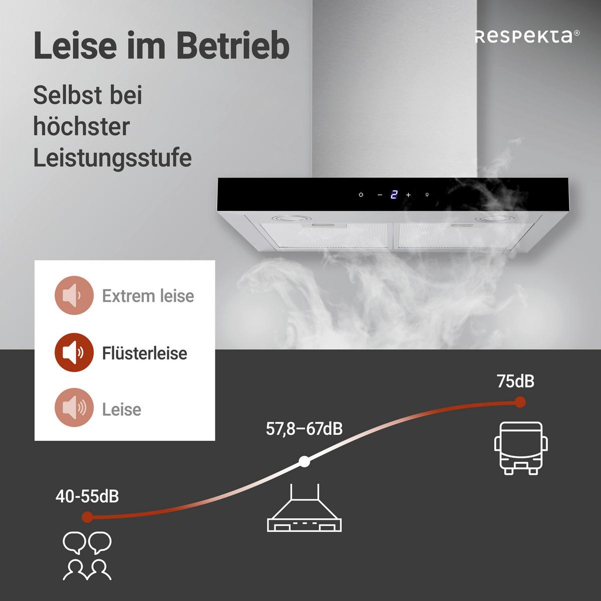 Dunstabzugshaube Respekta Sira Edelstahlfarben B: 59,5 cm - Edelstahlfarben, Basics, Metall (59,5/55-100/50cm) - Respekta