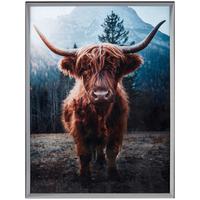 Bilderrahmen 30x40 cm Cameo Kunststoff Grau. 30,7x40,7 cm - Hellgrau, Basics, Glas/Holz (30,7/40,7/1,8cm) - Luca Bessoni