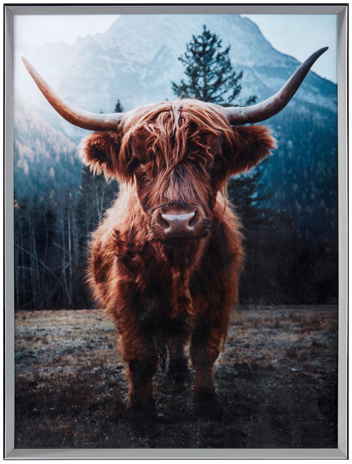 Bilderrahmen 30x40 cm Cameo Kunststoff Grau. 30,7x40,7 cm - Hellgrau, Basics, Glas/Holz (30,7/40,7/1,8cm) - Luca Bessoni