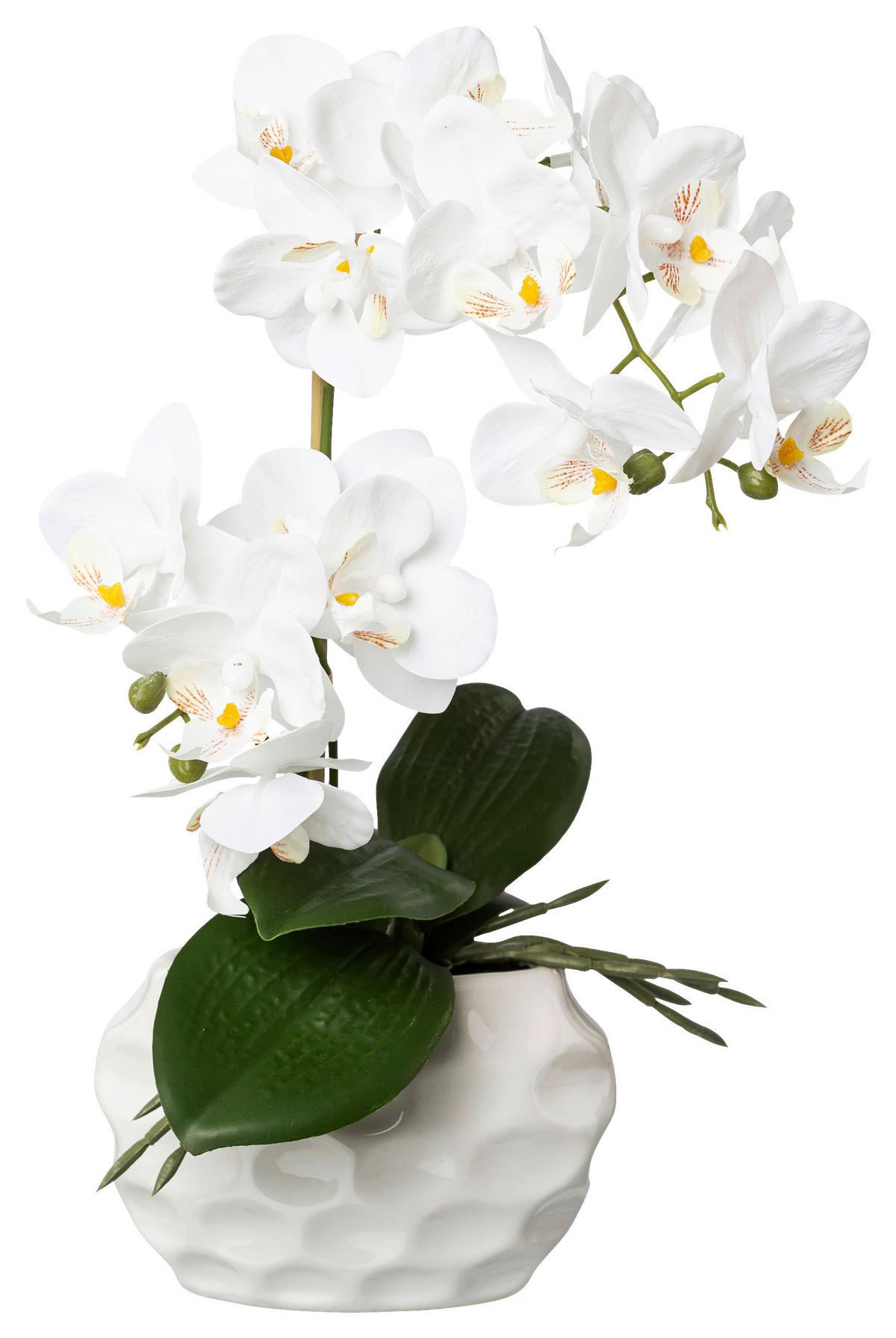 Kunstpflanze Orchideen Weiß, Topf: Weiß, H: 33 cm - Weiß/Grün, Design, Keramik/Kunststoff (33cm) - P & B