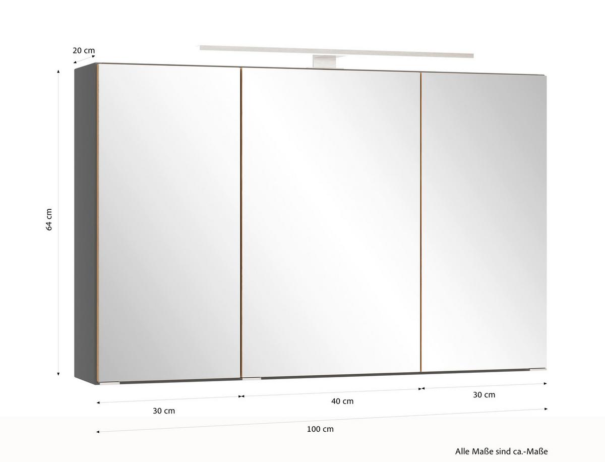 SPIEGELSCHRANK Verona Grau B: 100cm - Wildeiche/Grau, Trend, Glas/Holzwerkstoff (100/64/20cm) - Held