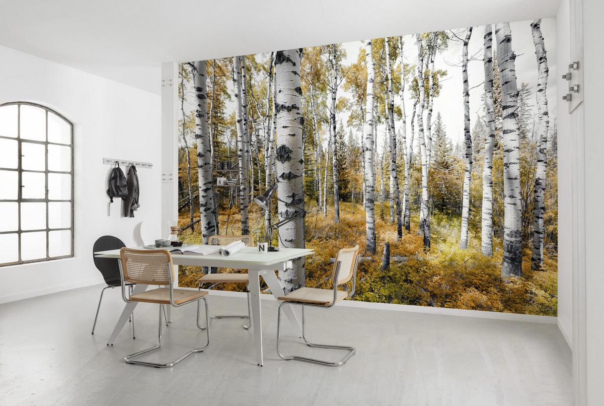 Fototapete Colorful Aspenwoods - Multicolor, Trend, Textil (450/280cm)