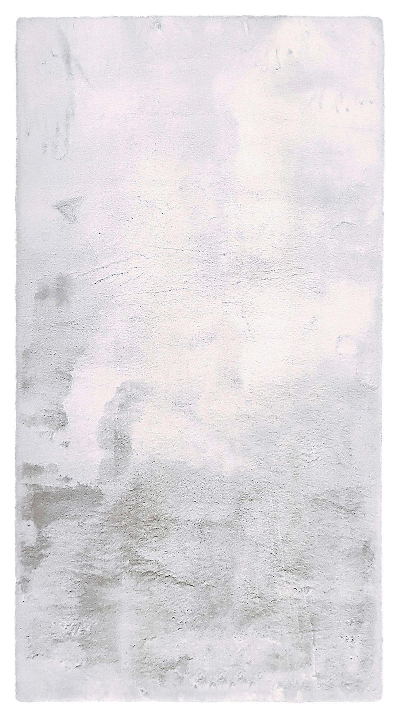 UMELÁ KOŽUŠINA Denise 3, 160/220cm - biela/strieborná, Romantik / Landhaus, textil/kožušina (160/220cm) - Mömax
