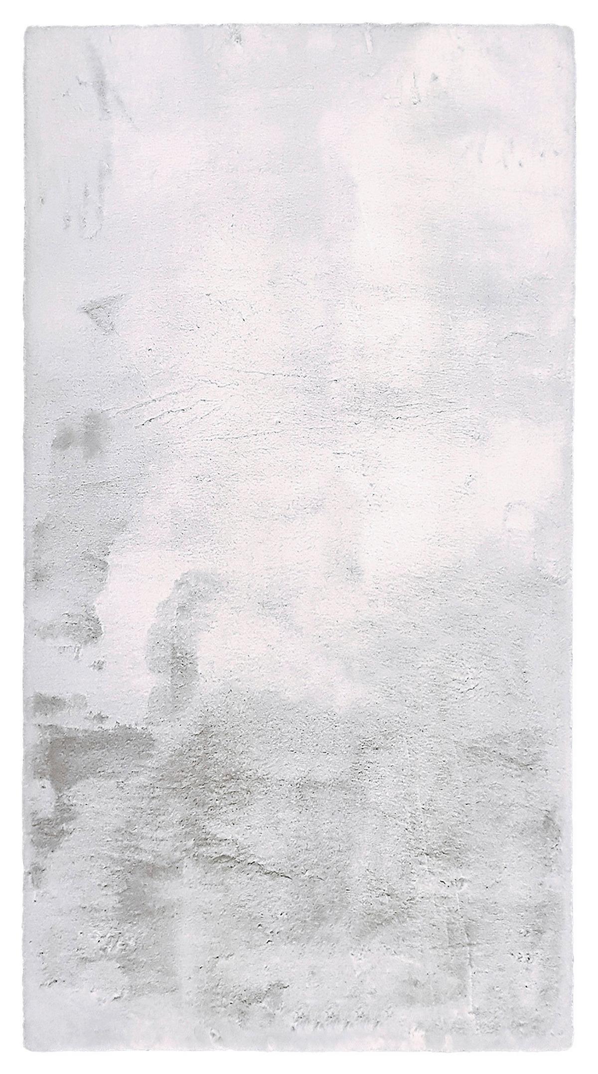 UMĚLÁ KOŽEŠINA Denise 2, 120/160cm - bílá/barvy stříbra, Romantický / Rustikální, kožešina/textil (120/160cm) - Mömax