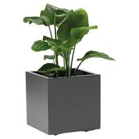 BLUMENKASTEN Anthrazit B: 39,5 cm - Anthrazit, Basics, Kunststoff (39,5/39,5/39,5cm)