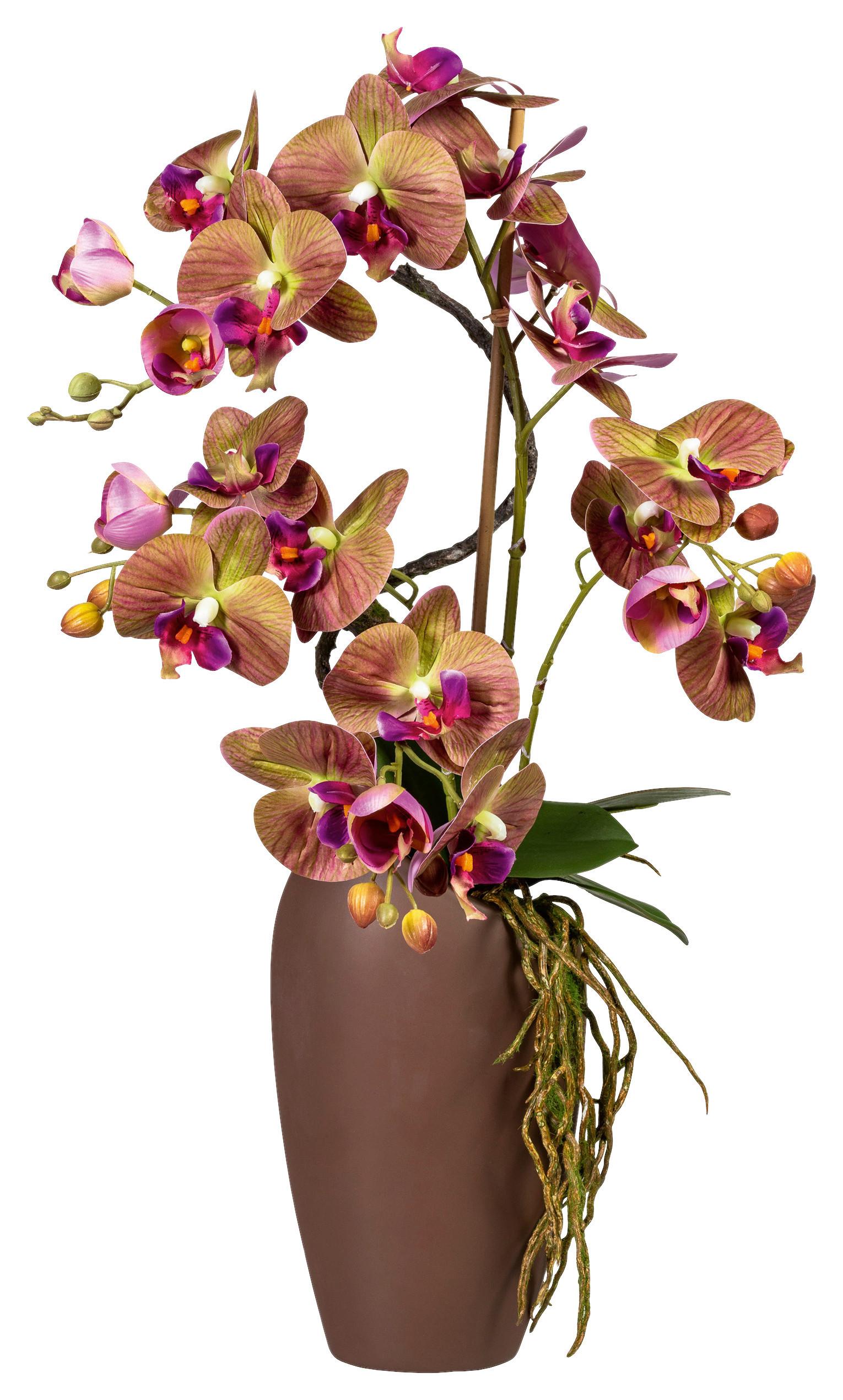 Kunstpflanze Orchideen, Grün- Lila, Topf: Braun, H: 70 cm - Lila/Braun, Design, Keramik/Kunststoff (70cm)