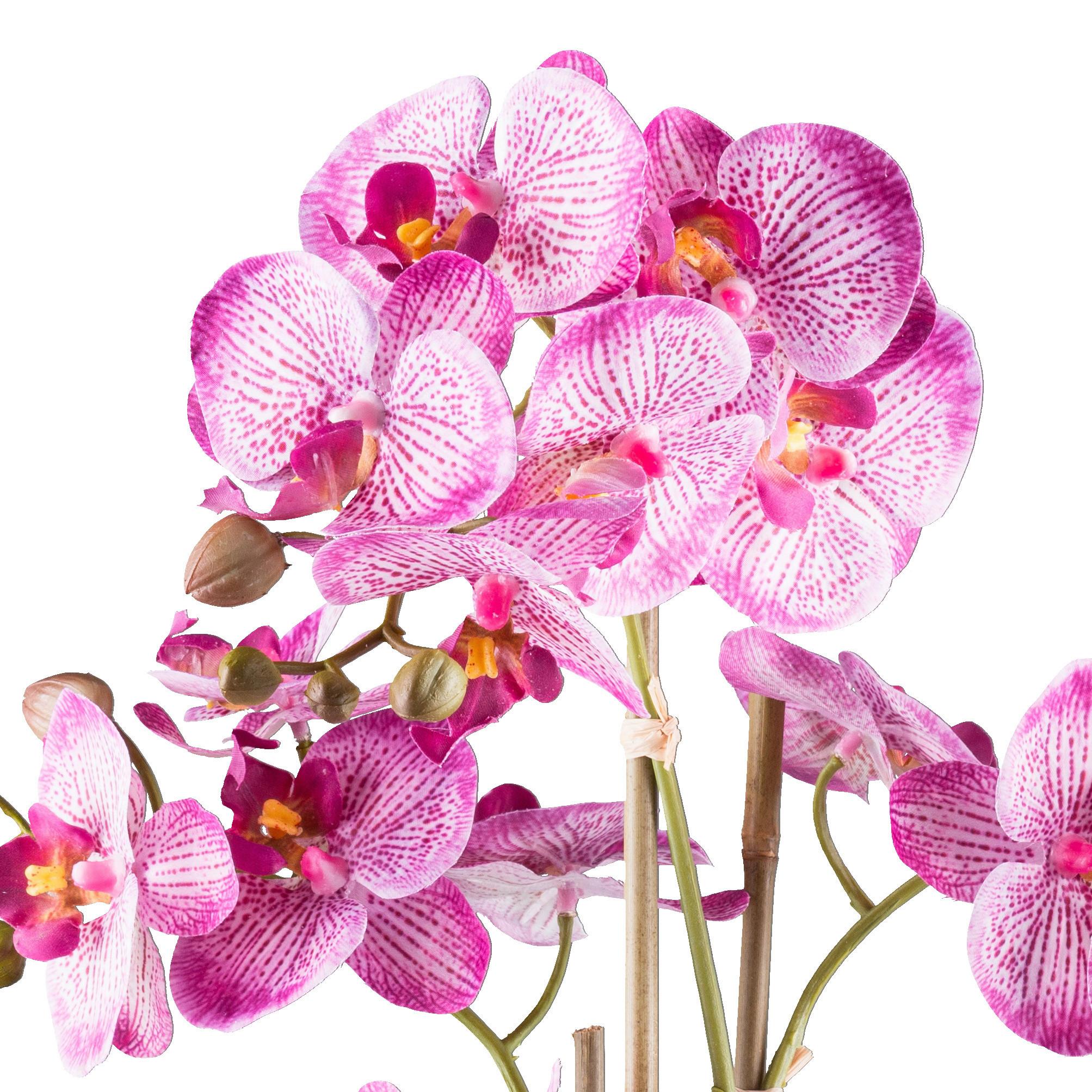 Kunstpflanze Orchideen 62 cm Grün/Silberfarben/Weiß/Pink - Pink/Silberfarben, Design, Keramik/Kunststoff (62cm) - P & B