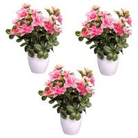 Kunstpflanze Blühpflanzen Rosa/Grün/Weiß, 26 cm - Rosa/Weiß, Design, Kunststoff (26cm) - P & B