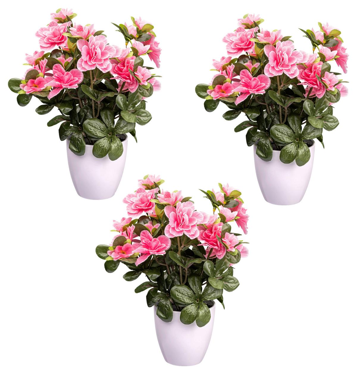 Kunstpflanze Blühpflanzen Rosa/Grün/Weiß, 26 cm - Rosa/Weiß, Design, Kunststoff (26cm) - P & B