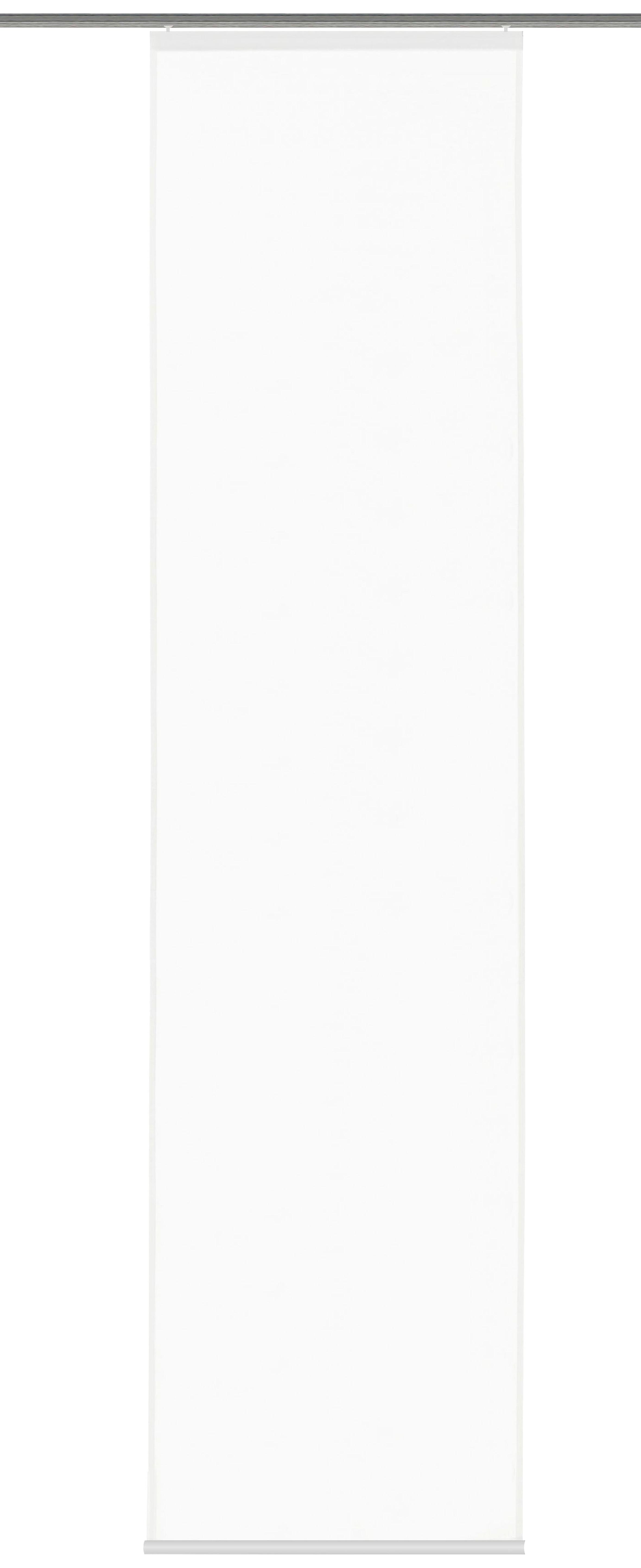 Flächenvorhang Weiß B: 60 cm - Weiß, Basics, Textil (60/245cm) - Schmidt W. Gmbh