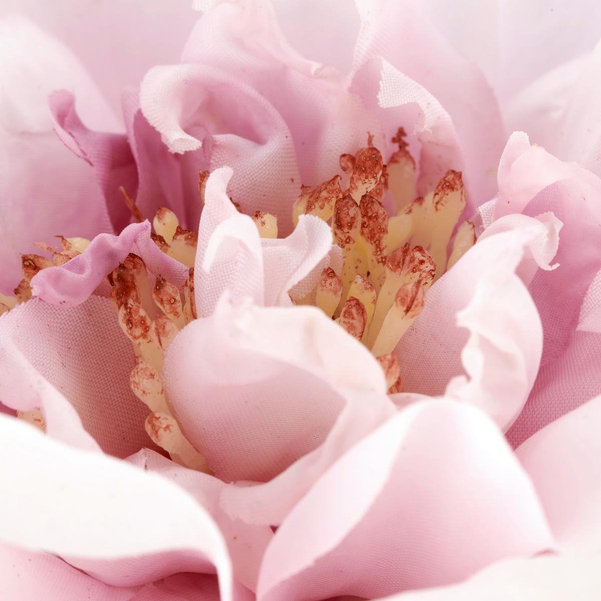 Ruža ROSE II -PAZ- - lila/zelená, Basics, kov/textil (63cm) - Mömax