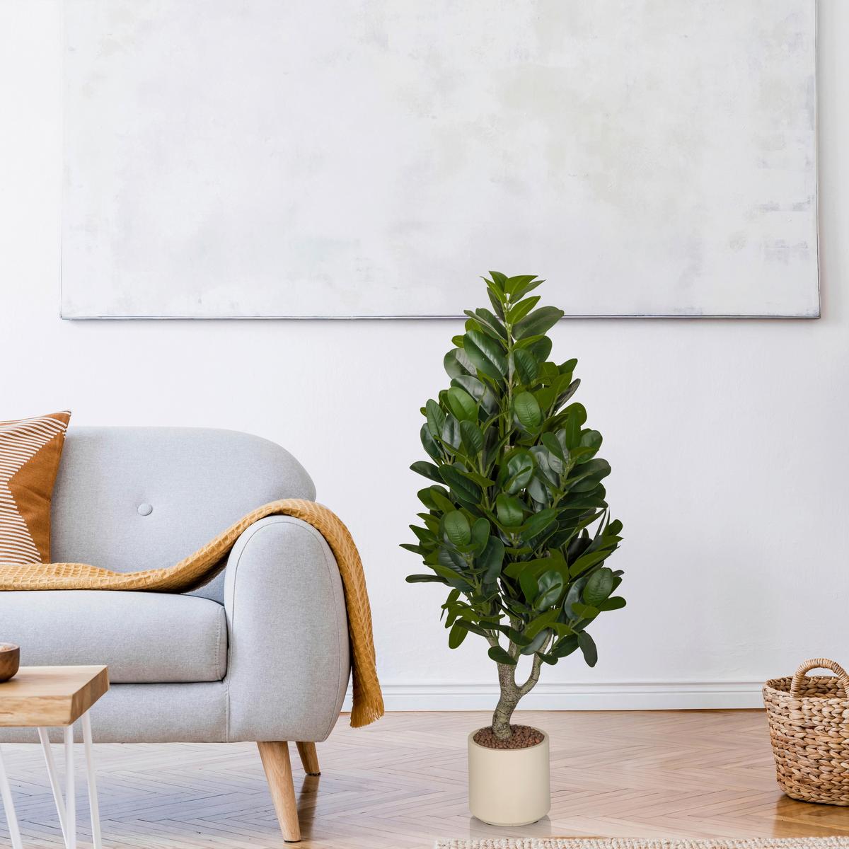 KUNSTPFLANZE Garcinia Creme B: 50cm - Creme/Grün, MODERN, Kunststoff (50/120/50cm) - MID.YOU