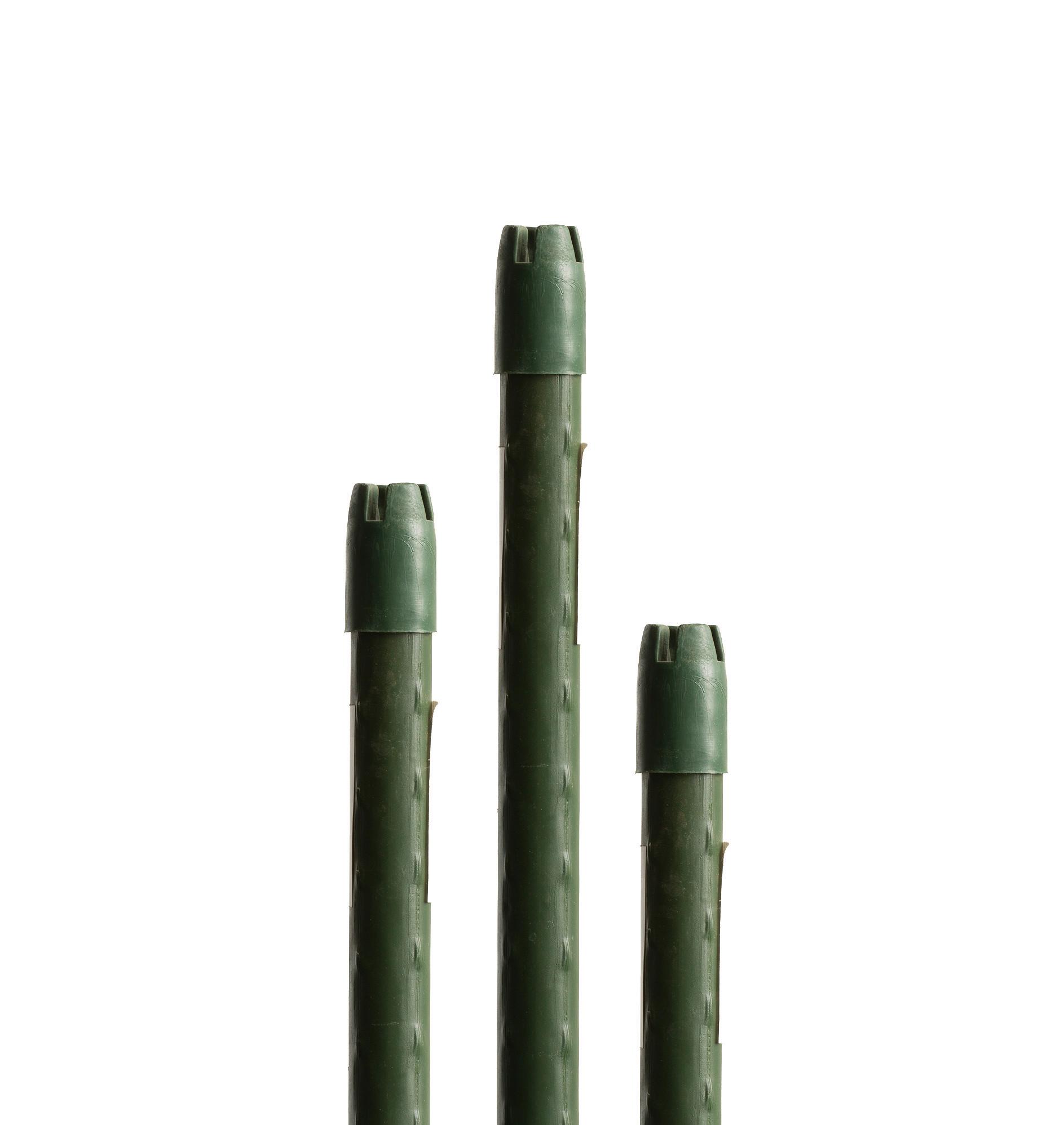 Növényfuttató Növényfuttató Zöld - zöld, Basics, műanyag/fém (120cm)